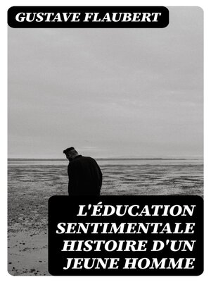 cover image of L'Éducation sentimentale histoire d'un jeune homme
